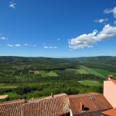  Motovun, Istria